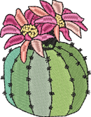 CACTUS 1