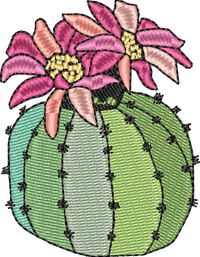 CACTUS 1