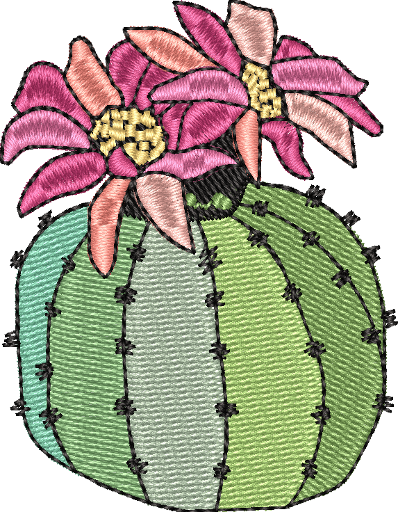 Cactus 1