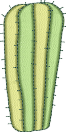 CACTUS 11