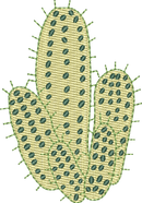 CACTUS 14