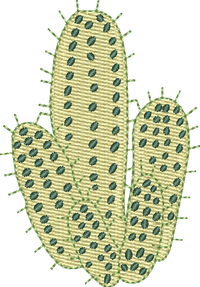 CACTUS 14