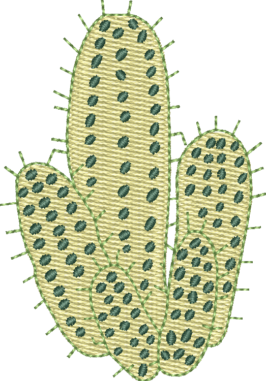 Cactus 14