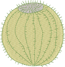 CACTUS 15