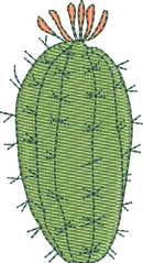 CACTUS 16
