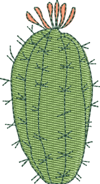 CACTUS 16
