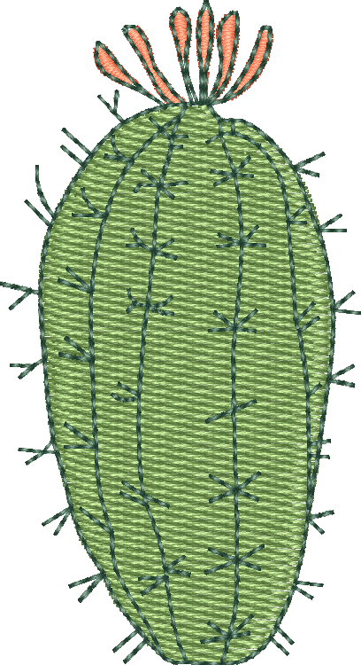 Cactus 16