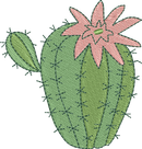 CACTUS 18