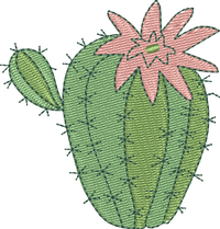CACTUS 18