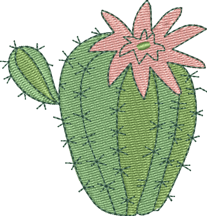 Cactus 18