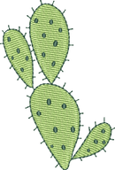 CACTUS 19