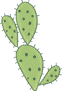 CACTUS 19