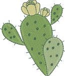 CACTUS 20
