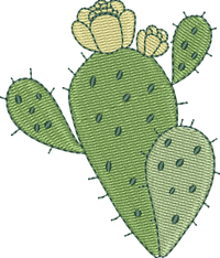CACTUS 20