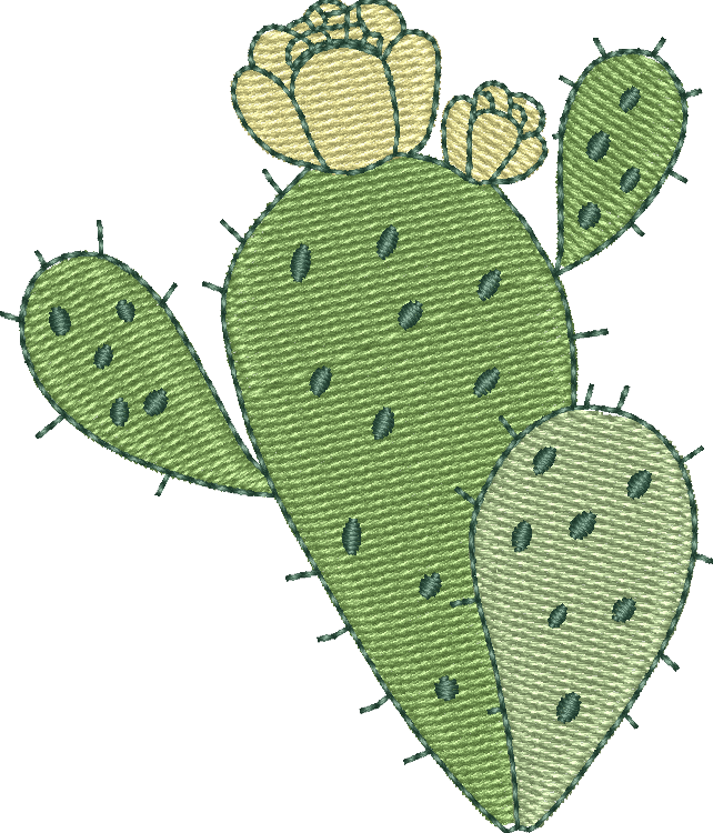 Cactus 20