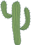 CACTUS 21