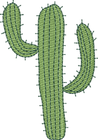 CACTUS 21
