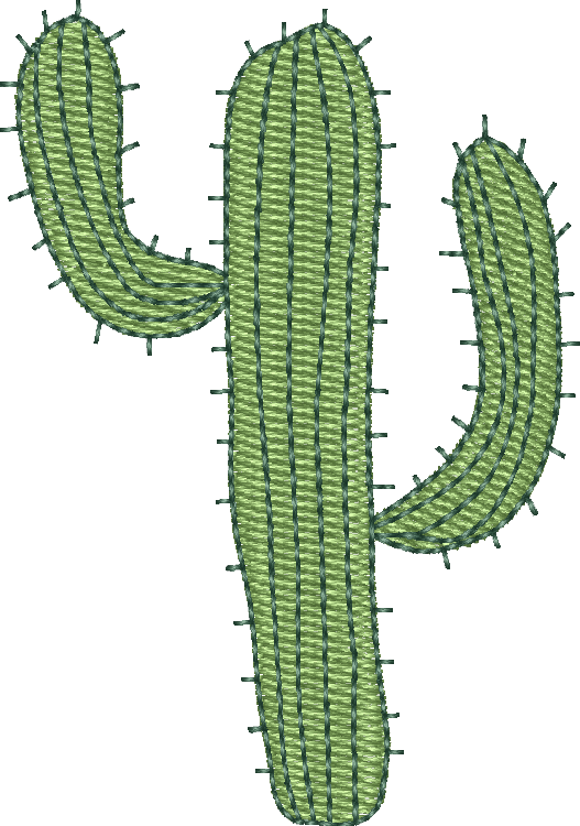 Cactus 21