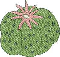 CACTUS 23