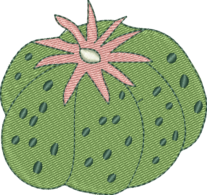 Cactus 23
