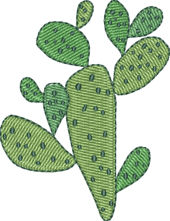 Cactus 24