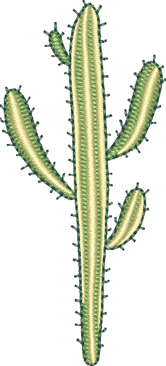 Cactus 25