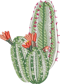 CACTUS 26