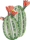 CACTUS 27
