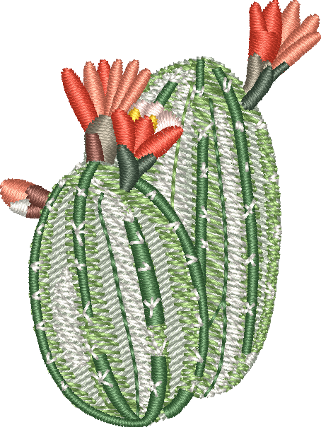 Cactus 27