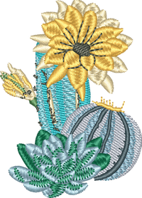 CACTUS 28