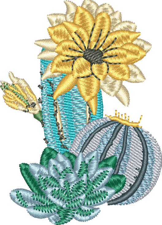 Cactus 28