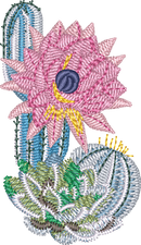 CACTUS 29