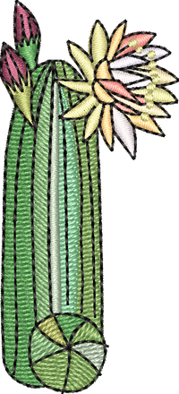 CACTUS 3