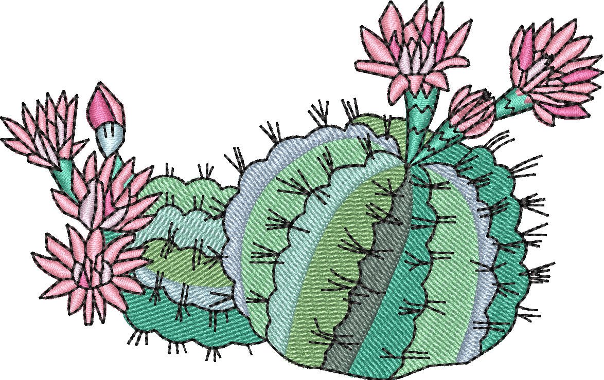 Cactus 4