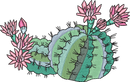 CACTUS 4