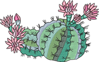 CACTUS 4