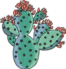 CACTUS 5