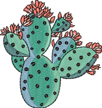 CACTUS 5