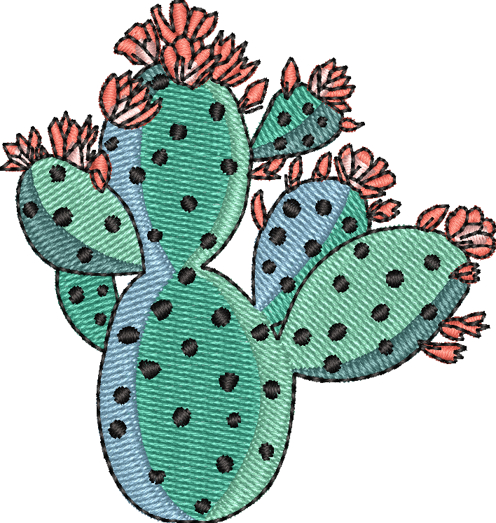 Cactus 5