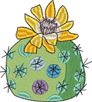 CACTUS 6