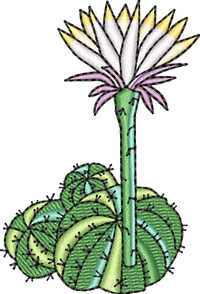 CACTUS 7