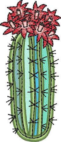 CACTUS 8