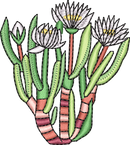 CACTUS 9