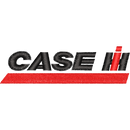 case