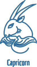 capricorn-3