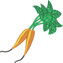 Carrots