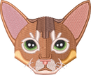 Cat 1
