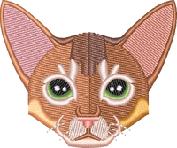 Cat 1