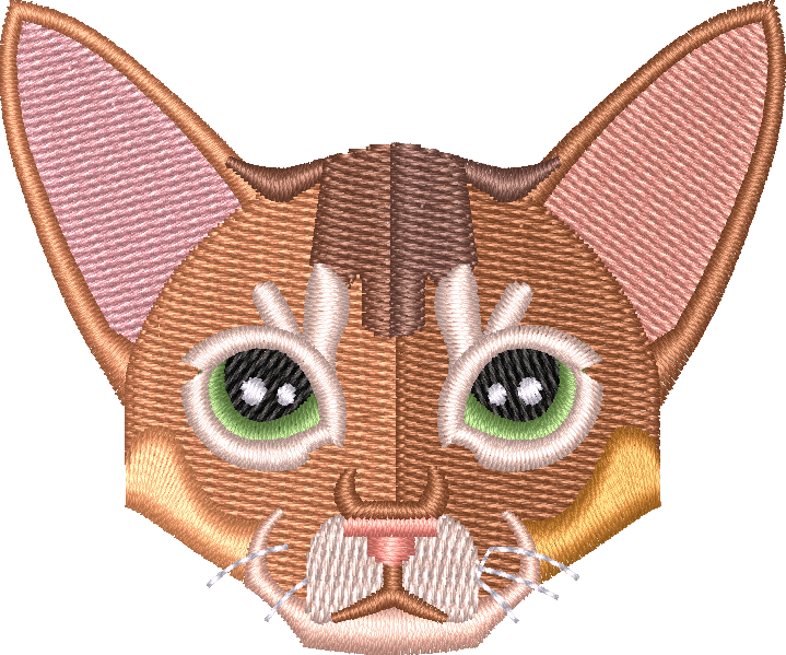 Cat 1