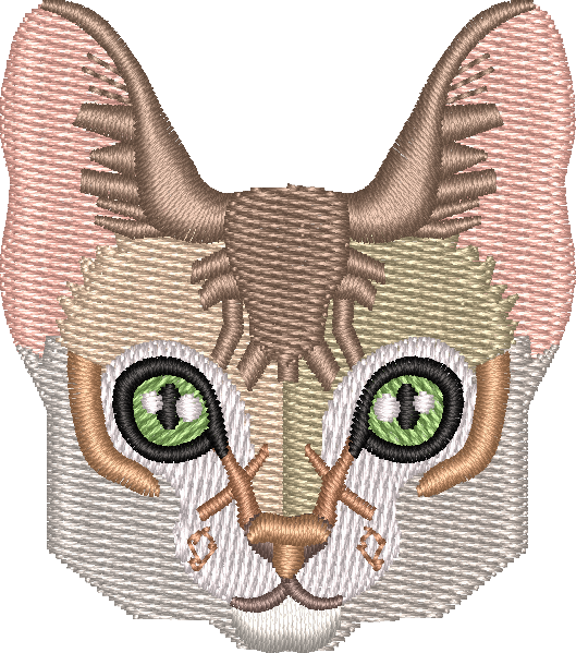 Cat 10